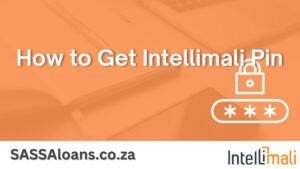 How to Get Intellimali Pin? or Recover/Change it?
