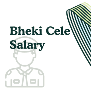 Bheki Cele Salary