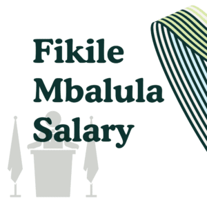 Fikile Mbalula Salary