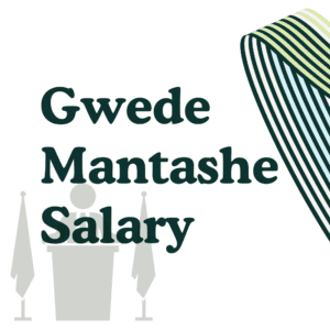 Gwede Mantashe Salary