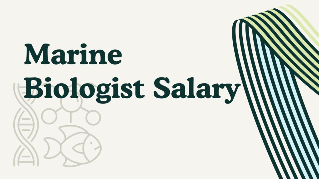 Marine Biologist Salary