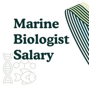 Marine Biologist Salary