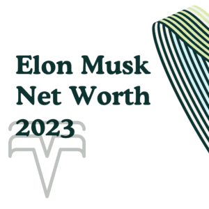 Elon Musk Net Worth 2023