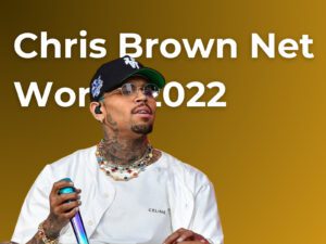 Chris Brown Net Worth 2024