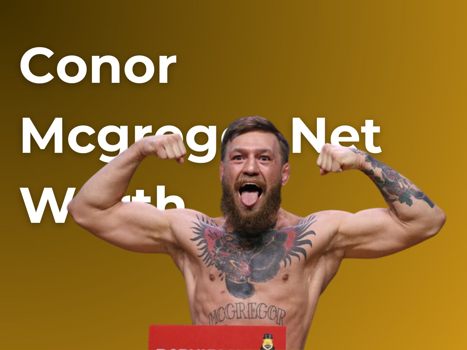 Conor McGregor Net Worth in Rands 2024 Sassa&Loans