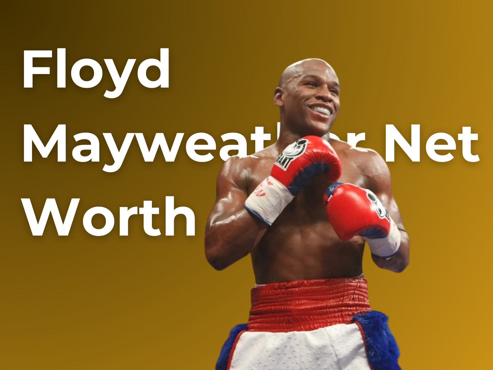 Floyd Mayweather Net Worth in Rands