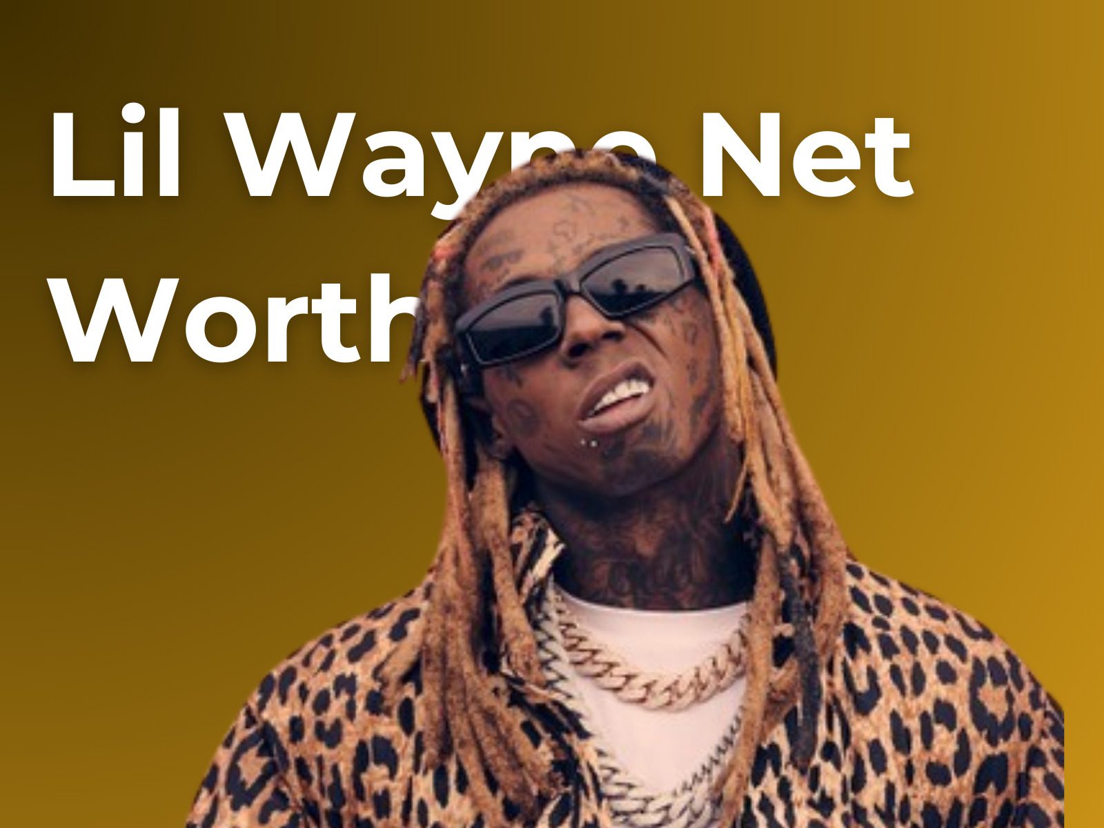 Lil Wayne Net Worth in Rands & Salary 2024 Sassa&Loans