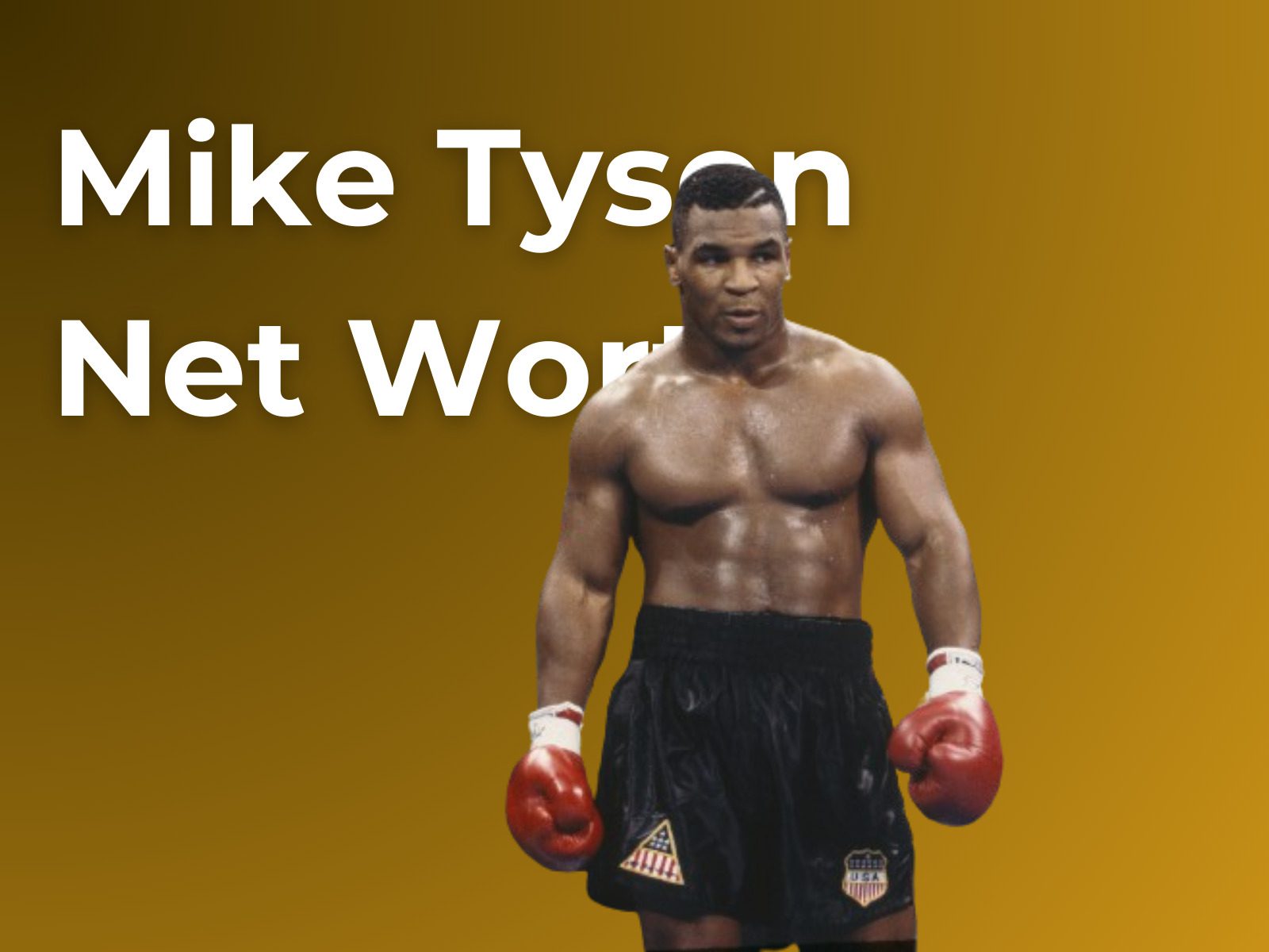 Mike Tyson Net Worth in Rands & Salary in 2024 Sassa&Loans