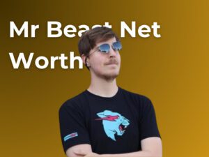 Mr Beast Net Worth