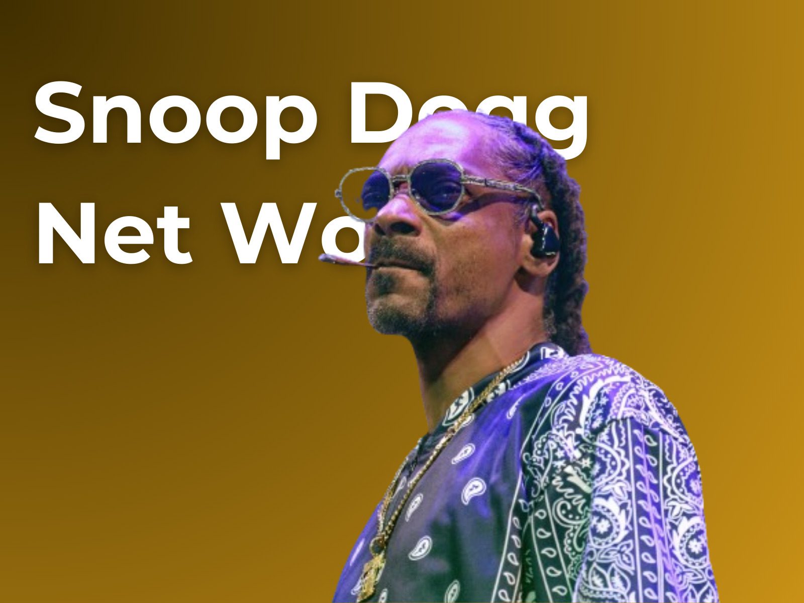 Snoop Dogg Net Worth in Rands in 2024 Sassa&Loans